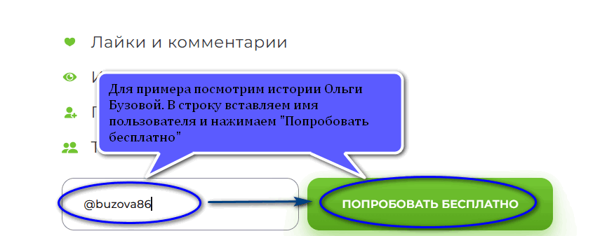 Ввод юзернейма в поле поиска на Instashpion