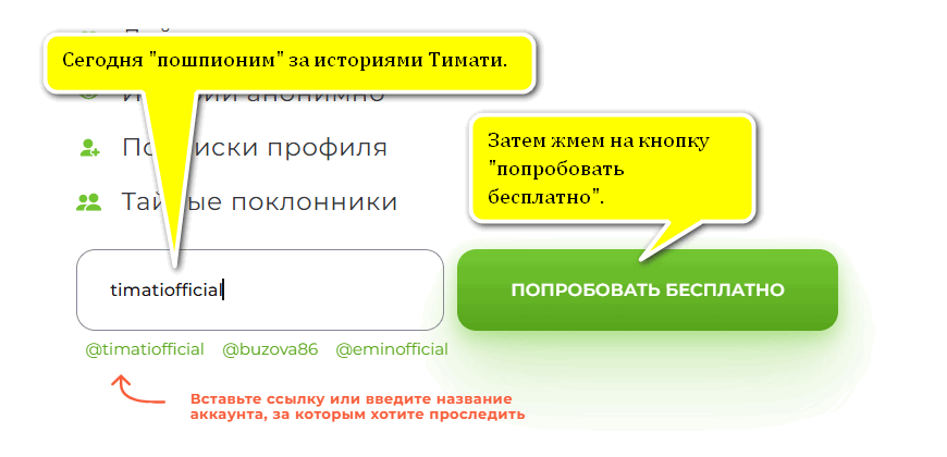 Ввод юзернейма и кнопка Попробовать бесплатно на Instashpion